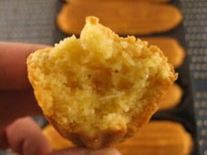 corn-meal-seruyes